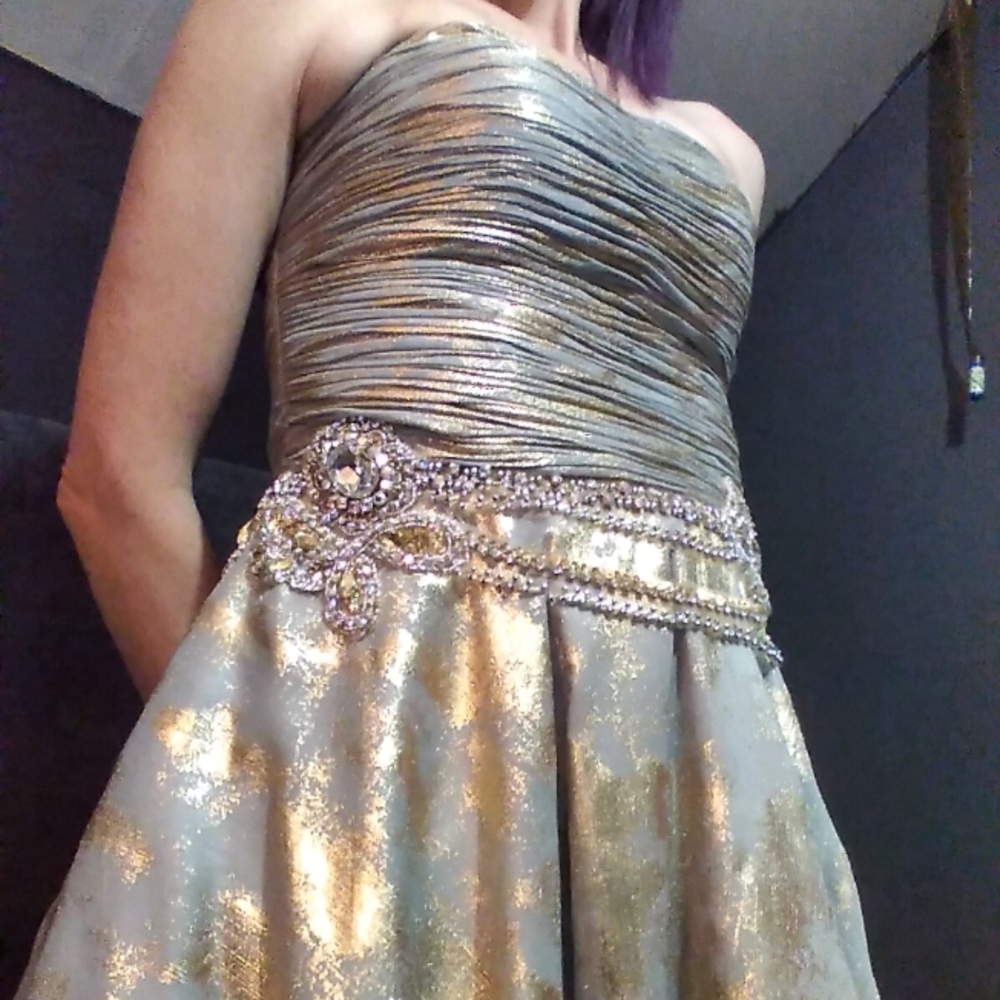 Terani Couture size 4 Grey & Gold Prom Dress